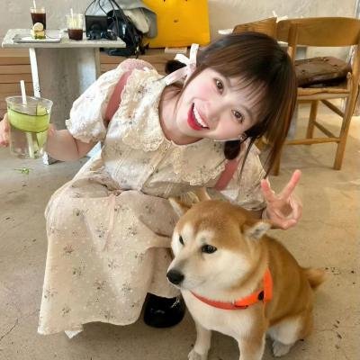 副总统第四季